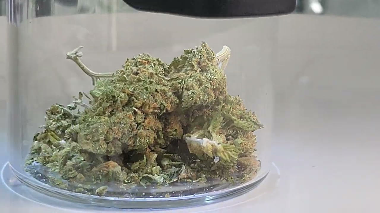 Siver Surfer | 4K | WARROOM