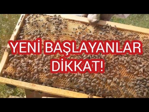 Kovanı açtığımızda neresine bakmalıyız