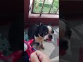 it is just a dog😒😒