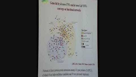 Prof. Stephen Scherer Talk “A Genomic Basis for Autism Spectrum and Related Disorders” in 3rd IGMC