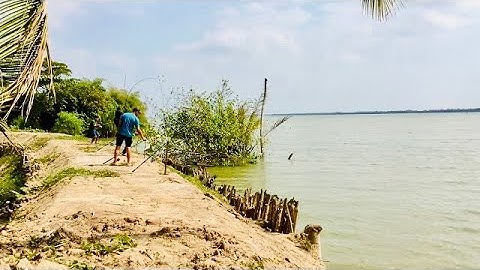 Câu cá thiên nhiên ở sông cái vàm bắc trang trà vinh ||Trí Nguyễn fishing