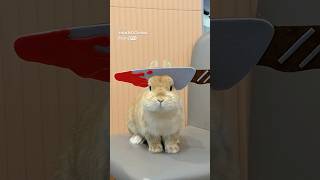 Pick Your Favorite Bunny Look 🐰 | Insta360 Flow 2 Pro