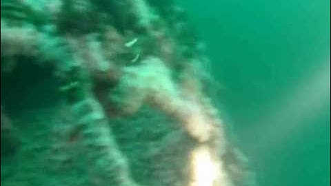 Sunken UMCS Yukon and Ruby E. SCUBA Dives San Diego