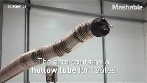 LaserSnake 2 by OC Robotics