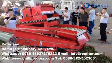 Automatic Fresh Chili Sorting and Cleaning Machine