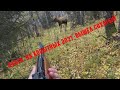 Охота на копытных в тайге 2021 году ч.2. Лось вылетел прямо на меня.Elk hunting сame right out at me