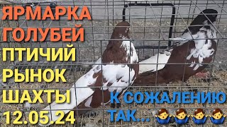 Ярмарка голубей в г.Шахты. Птичий рынок 12.05.24. К сожалению так...