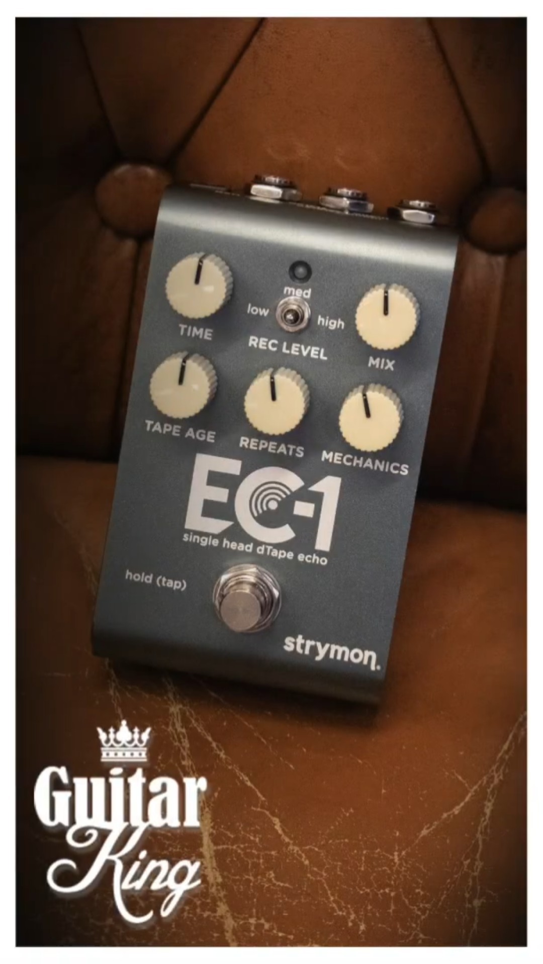 THE STRYMON EC-1!!! #strymon #guitarpedals #guitarking