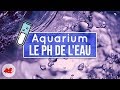 Le ph de leau de laquarium