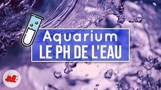 Le Ph De Leau De Laquarium