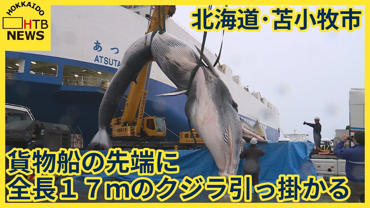 水槽のクジラ 止まった時間はもう終わり 水槽のクジラ 止まった時間は