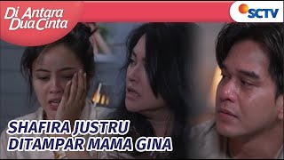 Kenapa Ini?! Julian Menangis dan Mama Gina Murka Ke Shafira | Di Antara Dua Cinta Episoe 264