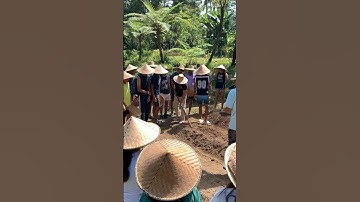 Pemulan Bali Farm Cooking School #farmcooking #food #bali #cookingschool