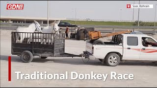 Traditional Donkey Race