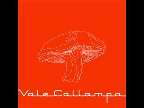 Café Tacuba - Dejaté Caer