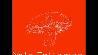 Café Tacuba - Dejaté Caer