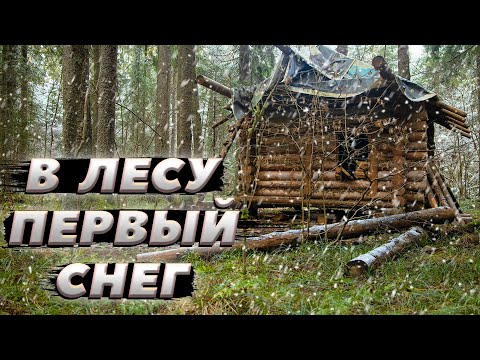 Застали первый снег в лесу | ЛЕСНОЙ ДОМ | ИЗБА | FOREST HOUSE | DUGOUT | HUT