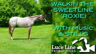 WALKIN THE SWEETLINE (VS FLATLINE x THE SWEETEST VERSION) [with music & picture]
