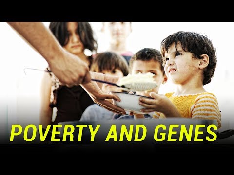 Video: 4 Causes Of Genetic Poverty - Alternative View