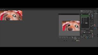 Qimage Ultimate Video Response - Removing Green Eye in Animals