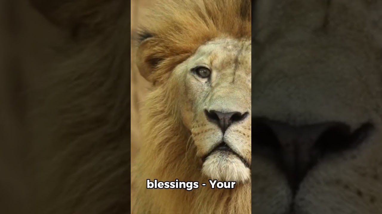 PROTECT YOUR DESTINY 🦁 | Moving in Silence | Wisdom for Elevation | 