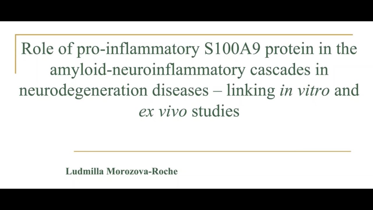 Pro-inflammatory protein in theamyloid-neuroinflammatory cascades in neurodegenerative diseases
