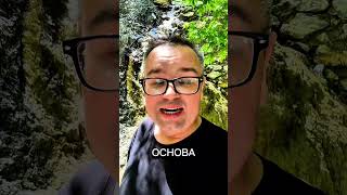 Про Питание Педагогов - Саентология