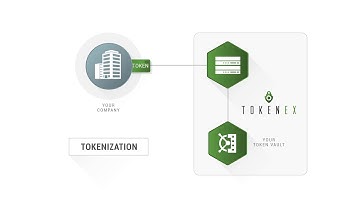 TokenEx - Tokenize and Detokenize API Call