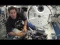 STS-134 Endevour - Astronaut Home Movies - Day 13