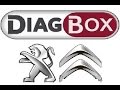 Установка и активация PSA DiagBox 7 подробная инструкция