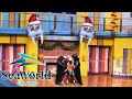 Sea Lion High: The Christmas Special 2020 | SeaWorld Orlando