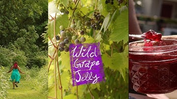 If I Found Wild Grapes, I