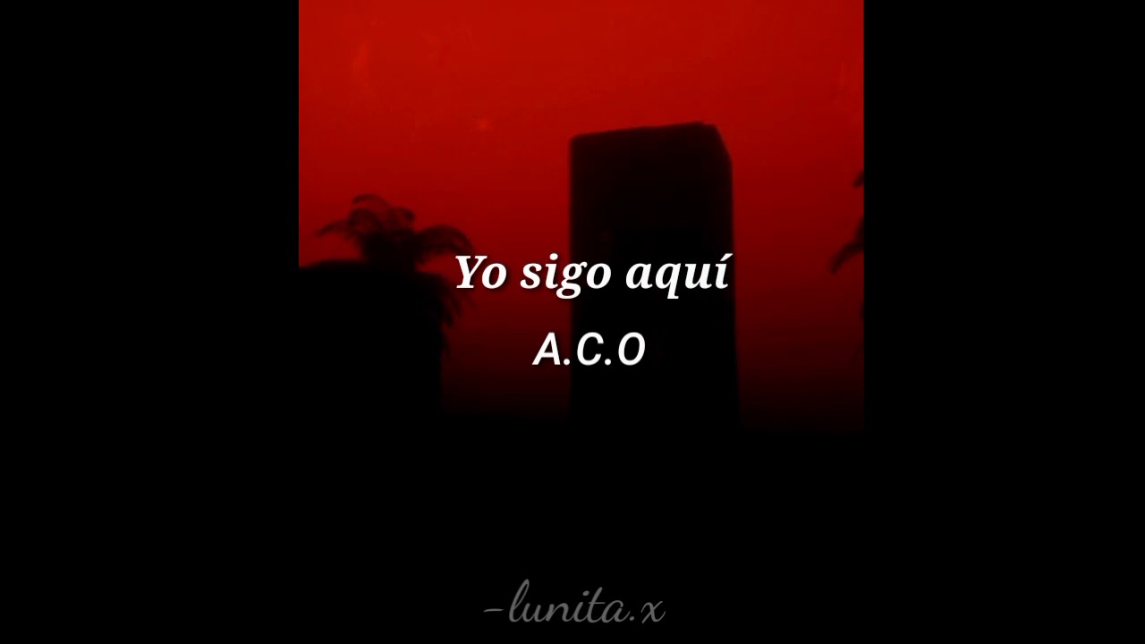 Yo sigo aquí - A.C.O (letra)