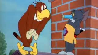 Tom & Jerry   Season 2   Episode 9 Part 2 of 3   Flirty Birdy