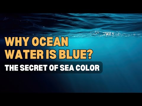 Video: Il cielo è blu a causa dell'oceano o l'oceano è blu a causa del cielo?