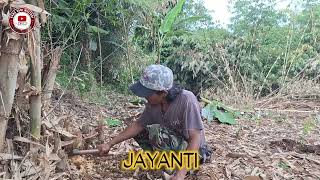 Pop Sunda Cireumis  Jayanti Jang Sasak Rajamandala  Tumarima  Kamana Cintana  Engkang Buleud