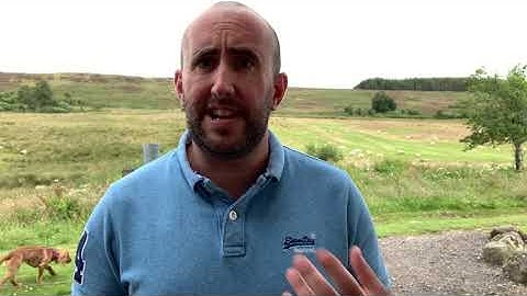 Demystifying TPO’s - What Is A Tree Preservation Order.