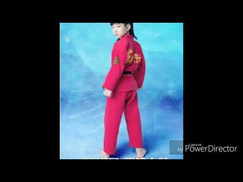 LIN QIUNAN SONG(Kung fu boys)