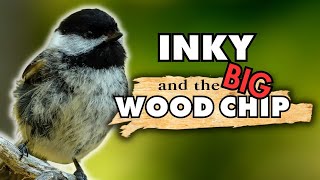 Big Wood Chips Give Inky the Chickadee a Hard Time in the Nest Box | Cute Bird Nest Behavior by Lesley the Bird Nerd 17,442 views 10 months ago 4 minutes, 42 seconds