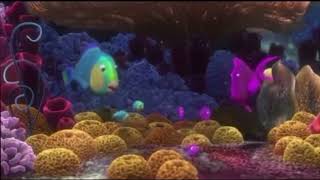 Sponge Beds (My version)