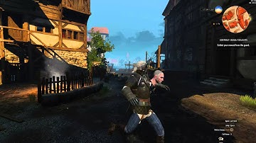 Witcher 3 LOL - LMFAO Bug!! [PC v1.04]