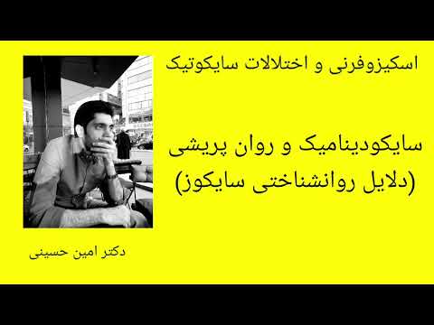 تصویری: نظریه روان شناختی اسکیزوفرنی