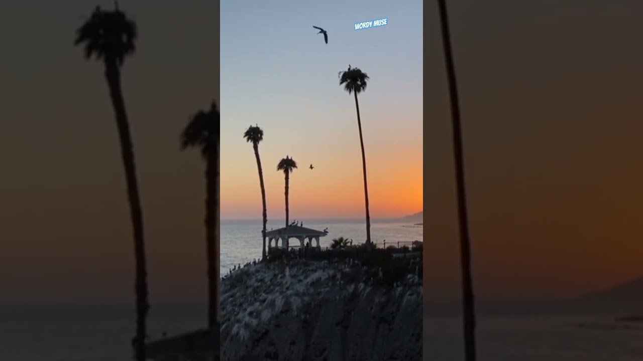 soulfulmusic # beautifulvoice #lyricalmuse #wordymuse