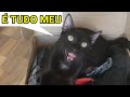 O Dono de tudo 😼 🌎| Júlio e Eu