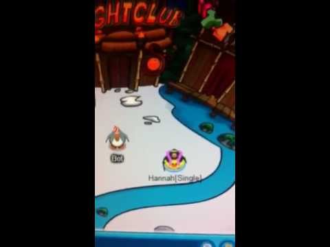 Matts Cpps