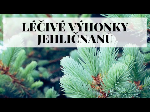 Video: Ihličie Z Borovice A Smreka Je Dobrým Hnojivom Pre Rastliny A Vynikajúcim Pesticídom