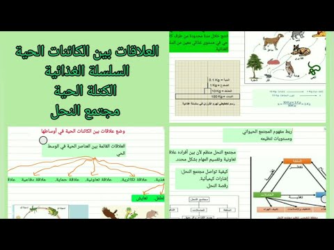 الدرس2 وضع علاقات بين الكائنات الحية في أوساطها سنة ثانية متوسط