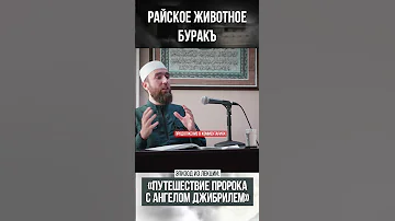 Райское животное Бурак