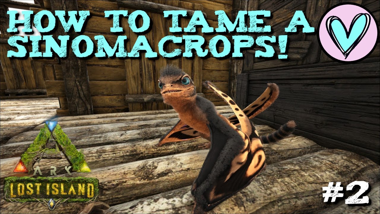 Ark: Lost Island Adventures Ep. #2 How To Tame A Sinomacrops!