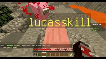 hacker lucasskill on mineplex/ Bacon Brawl